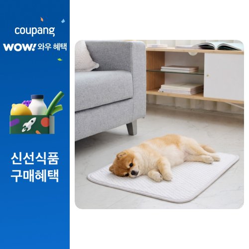 크라이오넥스 반려동물 냉감 쿨매트, 화이트, 1개