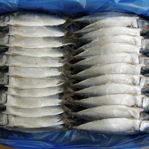건어물천국 자반 고등어 24손48마리 28cm 가정용 업소용 대용량 벌크상품, 48개